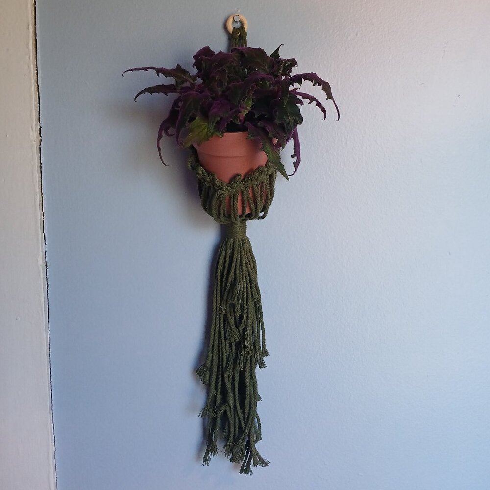 Hanging Plant Holder-SOLD